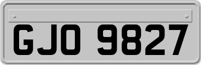 GJO9827