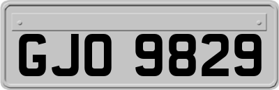 GJO9829