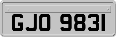 GJO9831