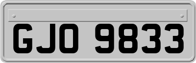 GJO9833