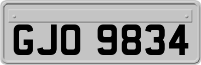 GJO9834