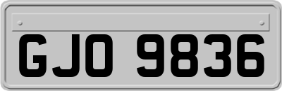 GJO9836