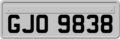 GJO9838