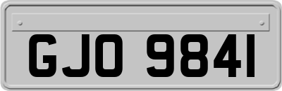 GJO9841