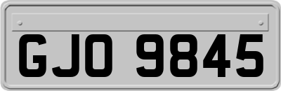 GJO9845