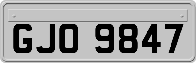 GJO9847