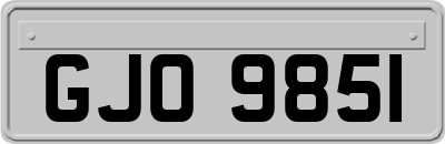 GJO9851