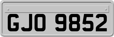 GJO9852