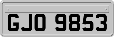 GJO9853