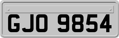 GJO9854