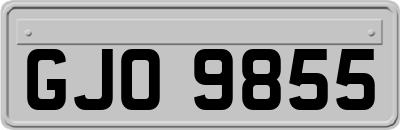 GJO9855