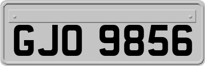 GJO9856