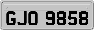 GJO9858