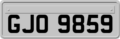 GJO9859