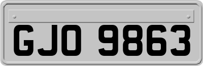 GJO9863