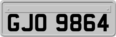 GJO9864