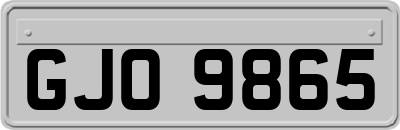 GJO9865