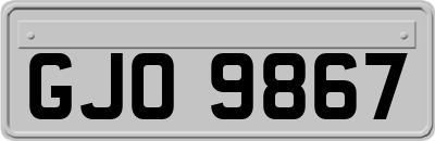 GJO9867