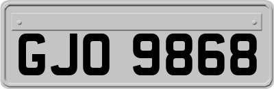GJO9868