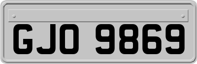 GJO9869