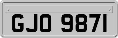 GJO9871