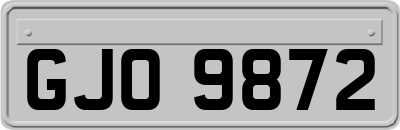 GJO9872