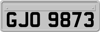 GJO9873