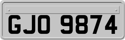 GJO9874