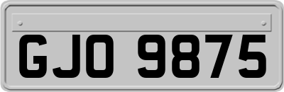 GJO9875