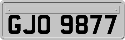 GJO9877