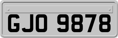 GJO9878