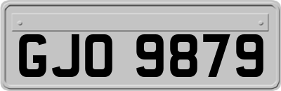 GJO9879