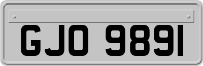 GJO9891