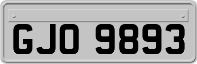 GJO9893