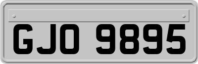 GJO9895
