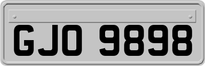 GJO9898