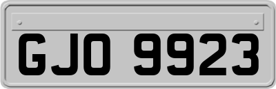 GJO9923