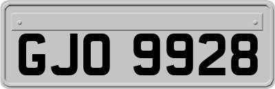 GJO9928