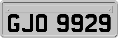 GJO9929