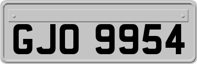 GJO9954
