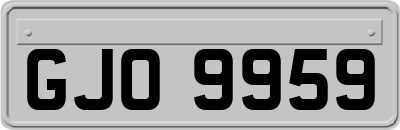 GJO9959