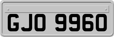 GJO9960