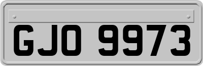 GJO9973