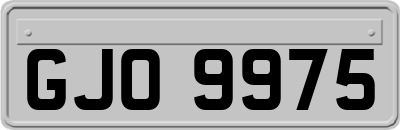 GJO9975