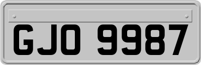 GJO9987