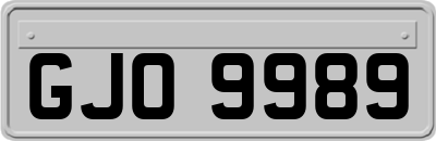 GJO9989