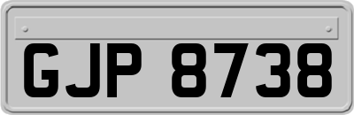 GJP8738