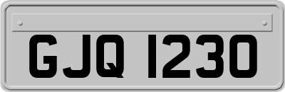 GJQ1230