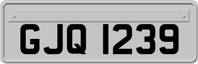 GJQ1239