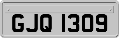 GJQ1309